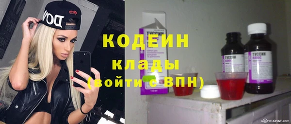 ГАЛЛЮЦИНОГЕННЫЕ ГРИБЫ Сясьстрой