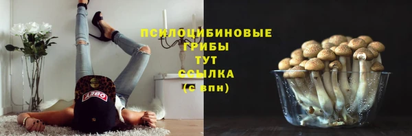 Альфа ПВП Тавда