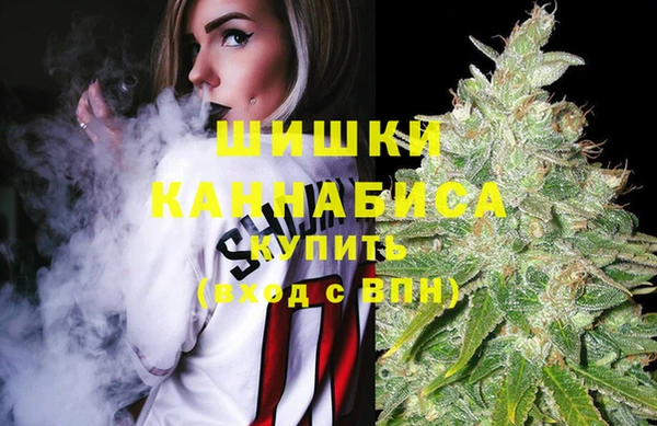 Альфа ПВП Тавда